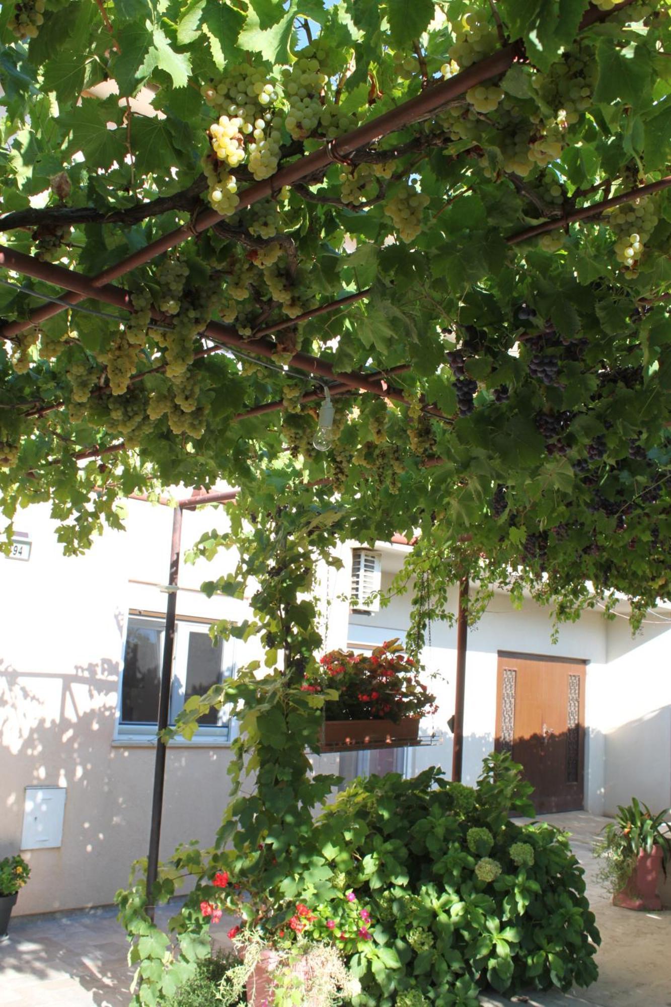Apartamento Lori Pula Exterior foto